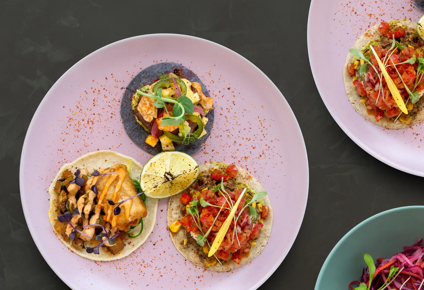 tacos - land sea & veg